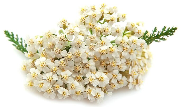 Gelarex enthält tausend Blätter